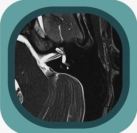 mri IAM S anatomy icon